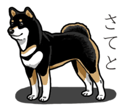 Daily Black Shiba Inu 3 sticker #14068282
