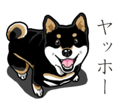 Daily Black Shiba Inu 3 sticker #14068284