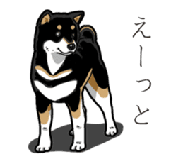 Daily Black Shiba Inu 3 sticker #14068285