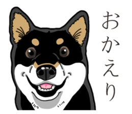 Daily Black Shiba Inu 3 sticker #14068291