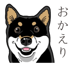 Daily Black Shiba Inu 3 sticker #14068291