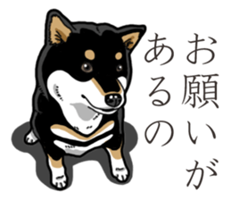 Daily Black Shiba Inu 3 sticker #14068294