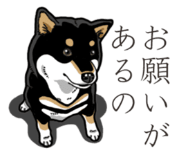 Daily Black Shiba Inu 3 sticker #14068294
