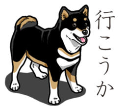 Daily Black Shiba Inu 3 sticker #14068295