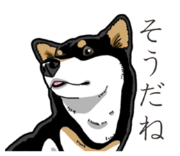 Daily Black Shiba Inu 3 sticker #14068298