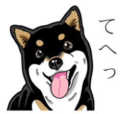 Daily Black Shiba Inu 3 sticker #14068299