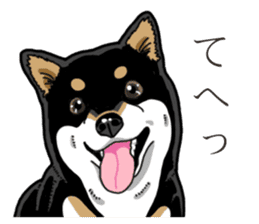 Daily Black Shiba Inu 3 sticker #14068299