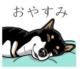 Daily Black Shiba Inu 3 sticker #14068305