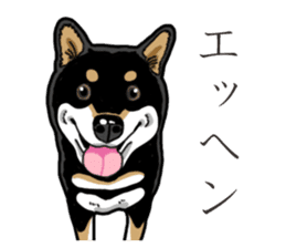 Daily Black Shiba Inu 3 sticker #14068306