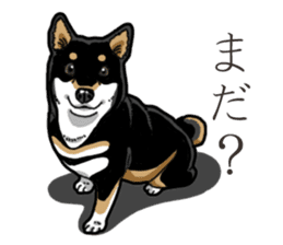 Daily Black Shiba Inu 3 sticker #14068307