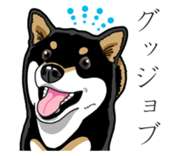 Daily Black Shiba Inu 3 sticker #14068308