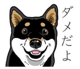 Daily Black Shiba Inu 3 sticker #14068312