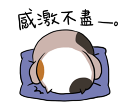 Sanfa family 2 sticker #14068695