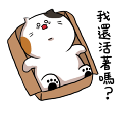 Sanfa family 2 sticker #14068702