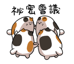 Sanfa family 2 sticker #14068722