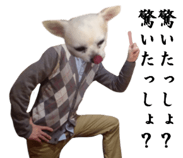 Chihuahua man 4 sticker #14069337