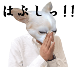 Chihuahua man 4 sticker #14069338