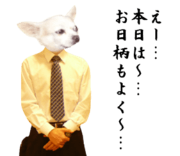 Chihuahua man 4 sticker #14069339