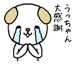 Uchan cat sticker #14069788