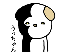 Uchan cat sticker #14069821