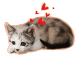 My name is Kinako sticker #14071326