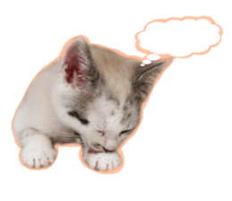 My name is Kinako sticker #14071334