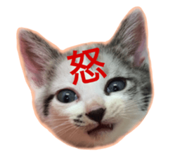 My name is Kinako sticker #14071337