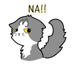 Catty meow(Xmas) sticker #14071806