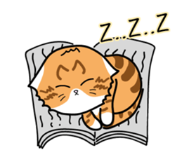 Catty meow(Xmas) sticker #14071822