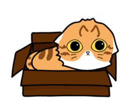 Catty meow(Xmas) sticker #14071824