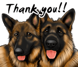 German Shepherd Dogs. Part3. sticker #14072646