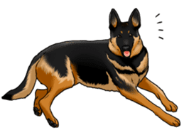 German Shepherd Dogs. Part3. sticker #14072648