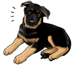 German Shepherd Dogs. Part3. sticker #14072649