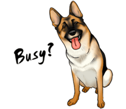 German Shepherd Dogs. Part3. sticker #14072652