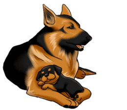 German Shepherd Dogs. Part3. sticker #14072653
