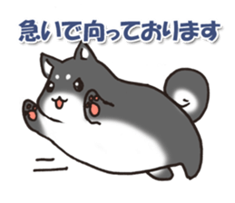 Japanese dog black Shiba Inu sticker #14072867