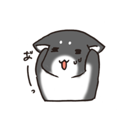 Japanese dog black Shiba Inu sticker #14072880