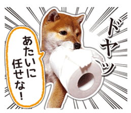 Japanese Shiba Inu hanako4 PhotoSticker sticker #14073135