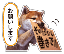 Japanese Shiba Inu hanako4 PhotoSticker sticker #14073138