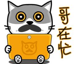 23Me+23Meow-Powerful Daily Phrases_03 sticker #14073313