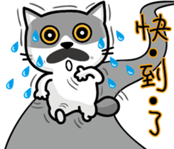 23Me+23Meow-Powerful Daily Phrases_03 sticker #14073327