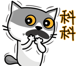 23Me+23Meow-Powerful Daily Phrases_03 sticker #14073339