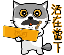 23Me+23Meow-Powerful Daily Phrases_03 sticker #14073341
