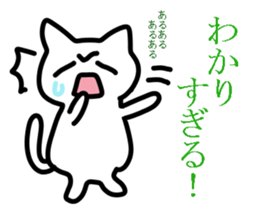 Adult cat sticker #14073673