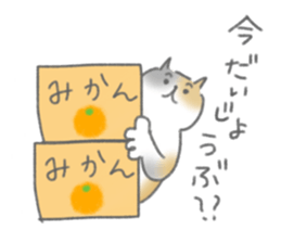 Cat!Cats!Cats! sticker #14074066