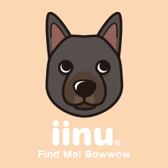 iinu - Australian Kelpie