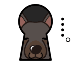 iinu - Australian Kelpie sticker #14074292