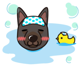 iinu - Australian Kelpie sticker #14074293