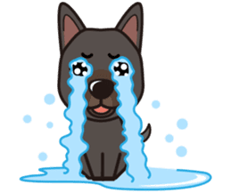 iinu - Australian Kelpie sticker #14074295