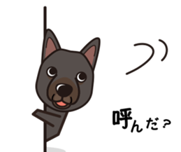 iinu - Australian Kelpie sticker #14074296